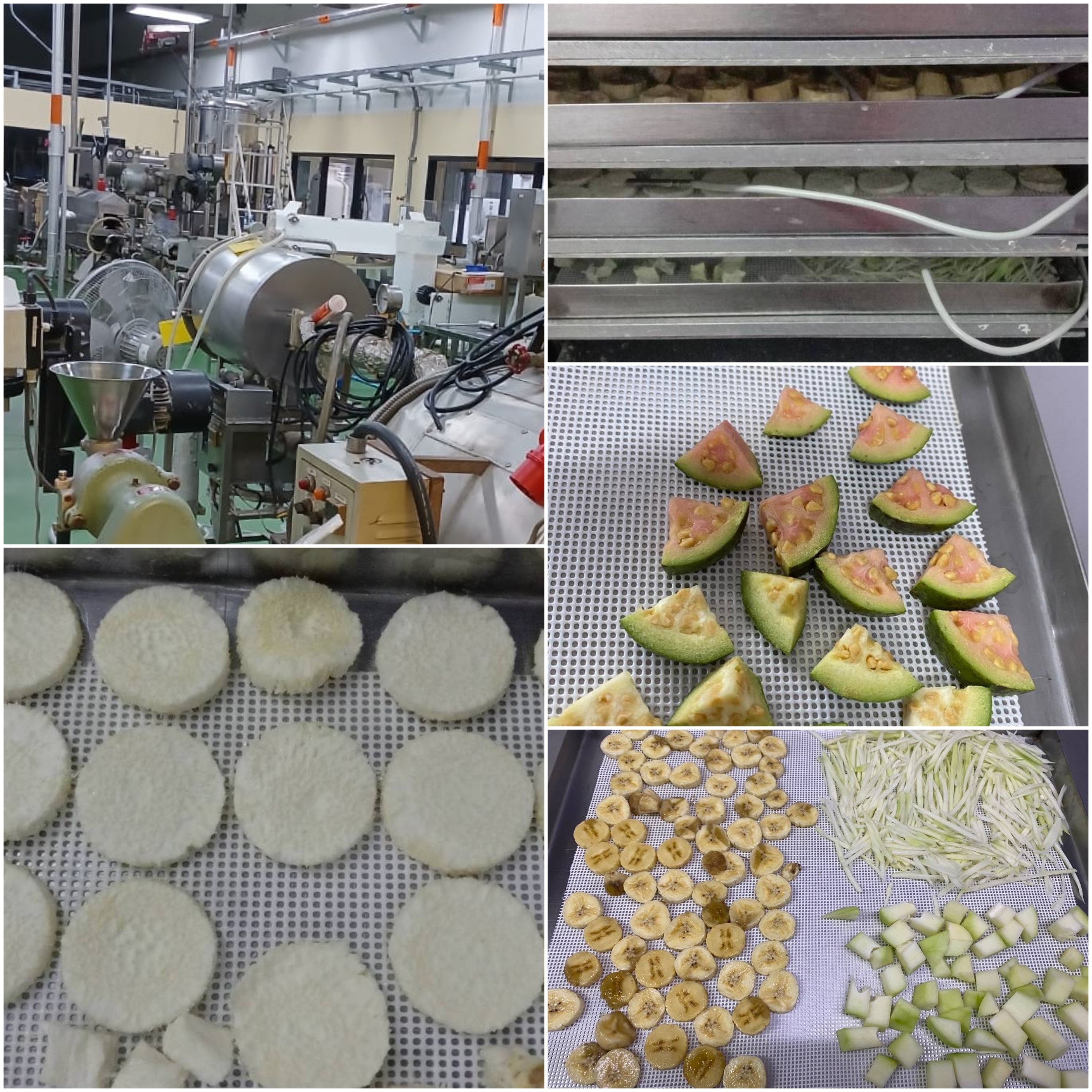 Agro-Processing