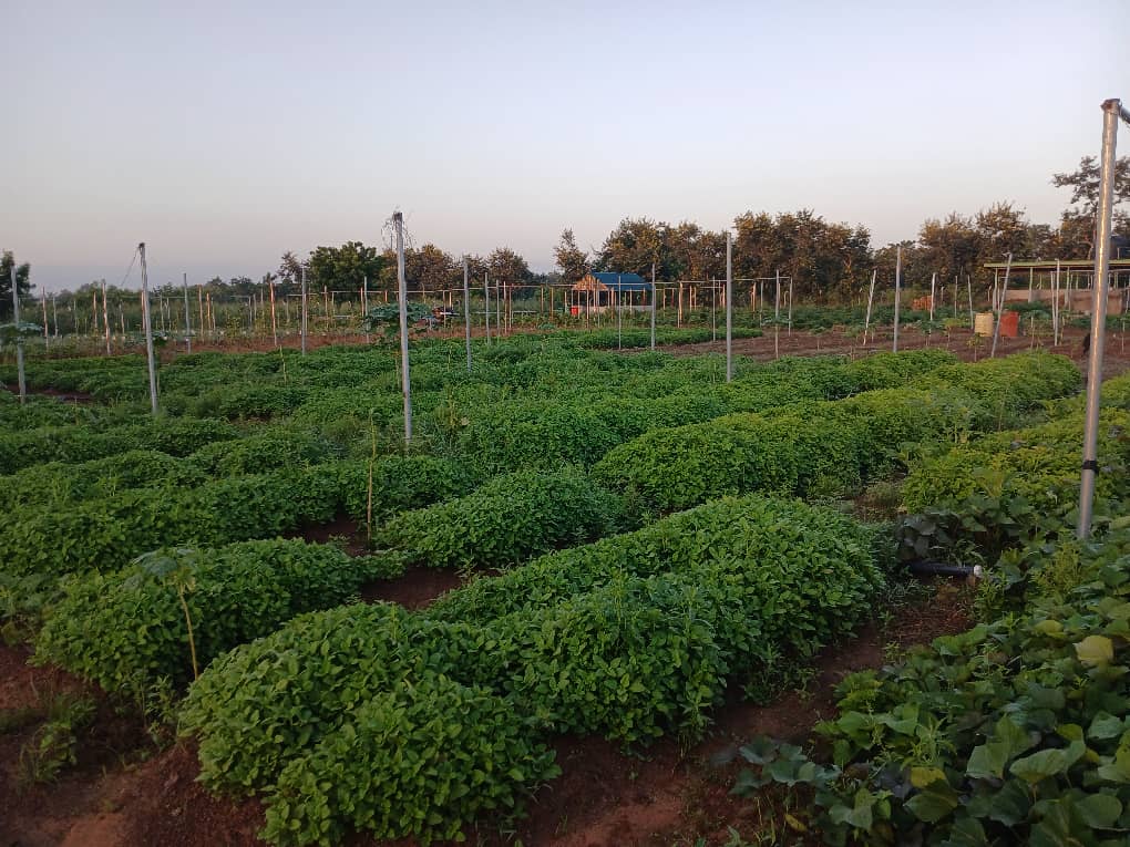 Farming & Primary Production